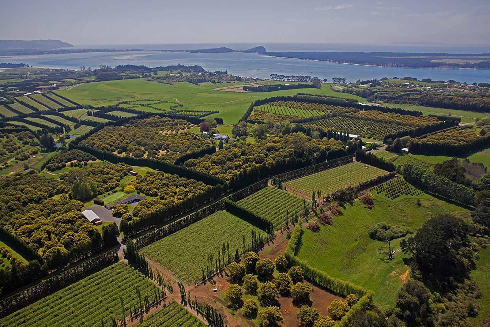 An aerial photo of land and orchards